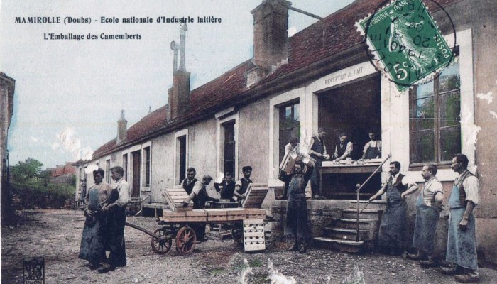 ENIL_emballage_des_camemberts_Copier