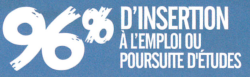 insertion-professionnelle