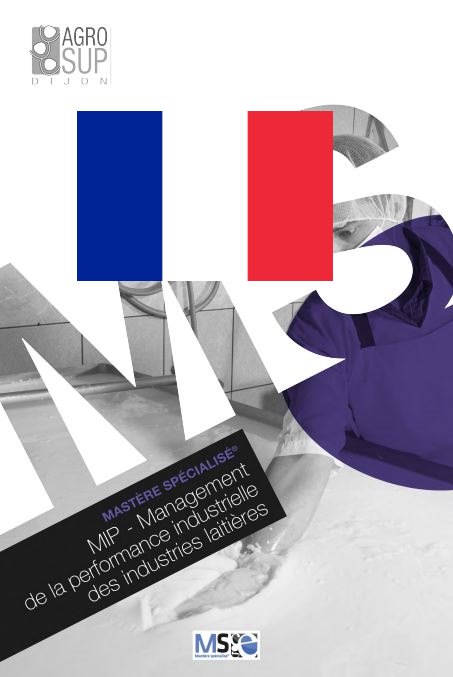 plaquette-mip-francais