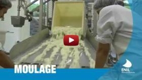 fromage pate molle camenber