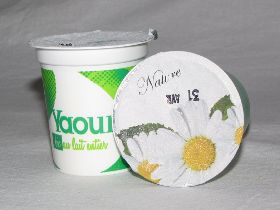 comment fabriquer des yaourts natures