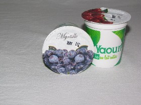 yaourt-bio-fruits