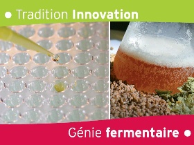 genie fermentaire biere cidre boissons