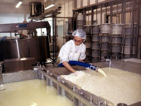 Fabrication de Morbier