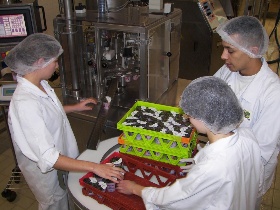 eleves fabriquant des yaourts