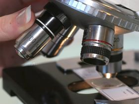 analyses au microscope
