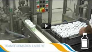 transformation du lait et industrie laitière